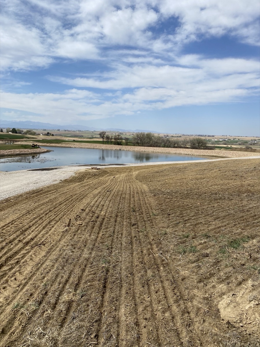Johnstown Golf Course Revegetation photo 1
