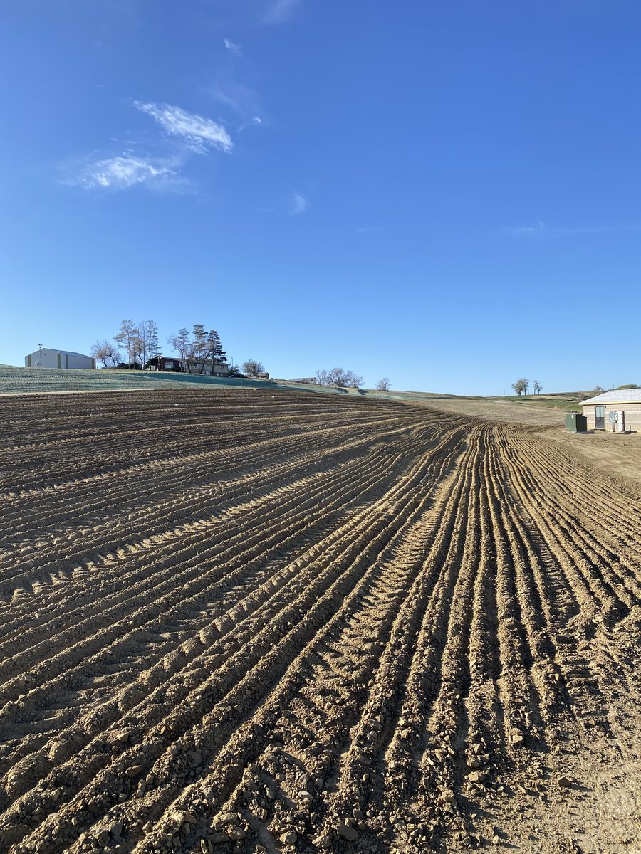 Johnstown Golf Course Revegetation photo 12