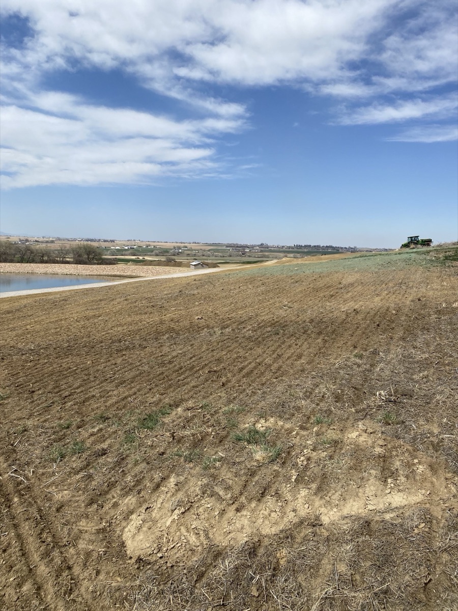 Johnstown Golf Course Revegetation photo 3