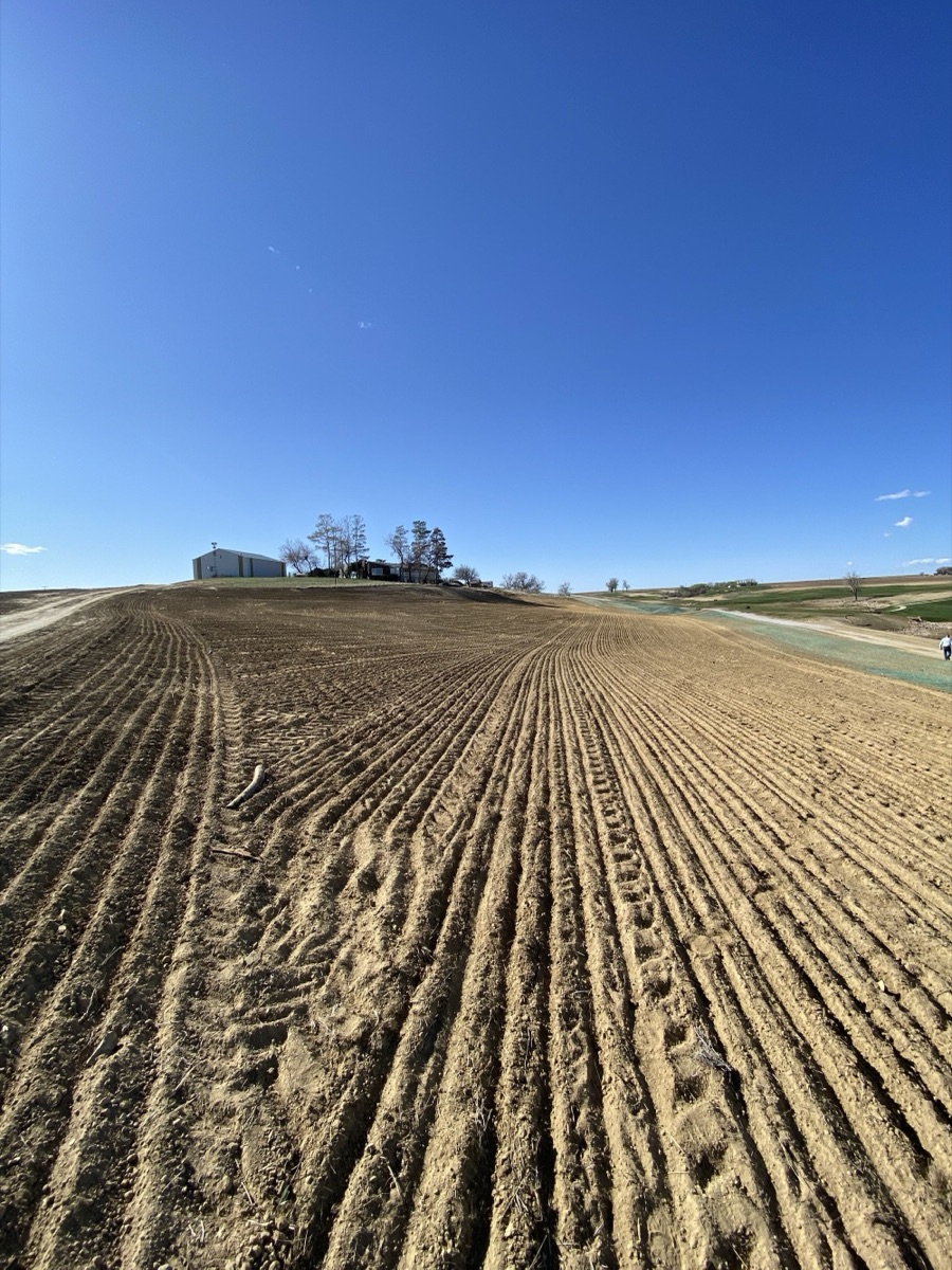 Johnstown Golf Course Revegetation photo 4