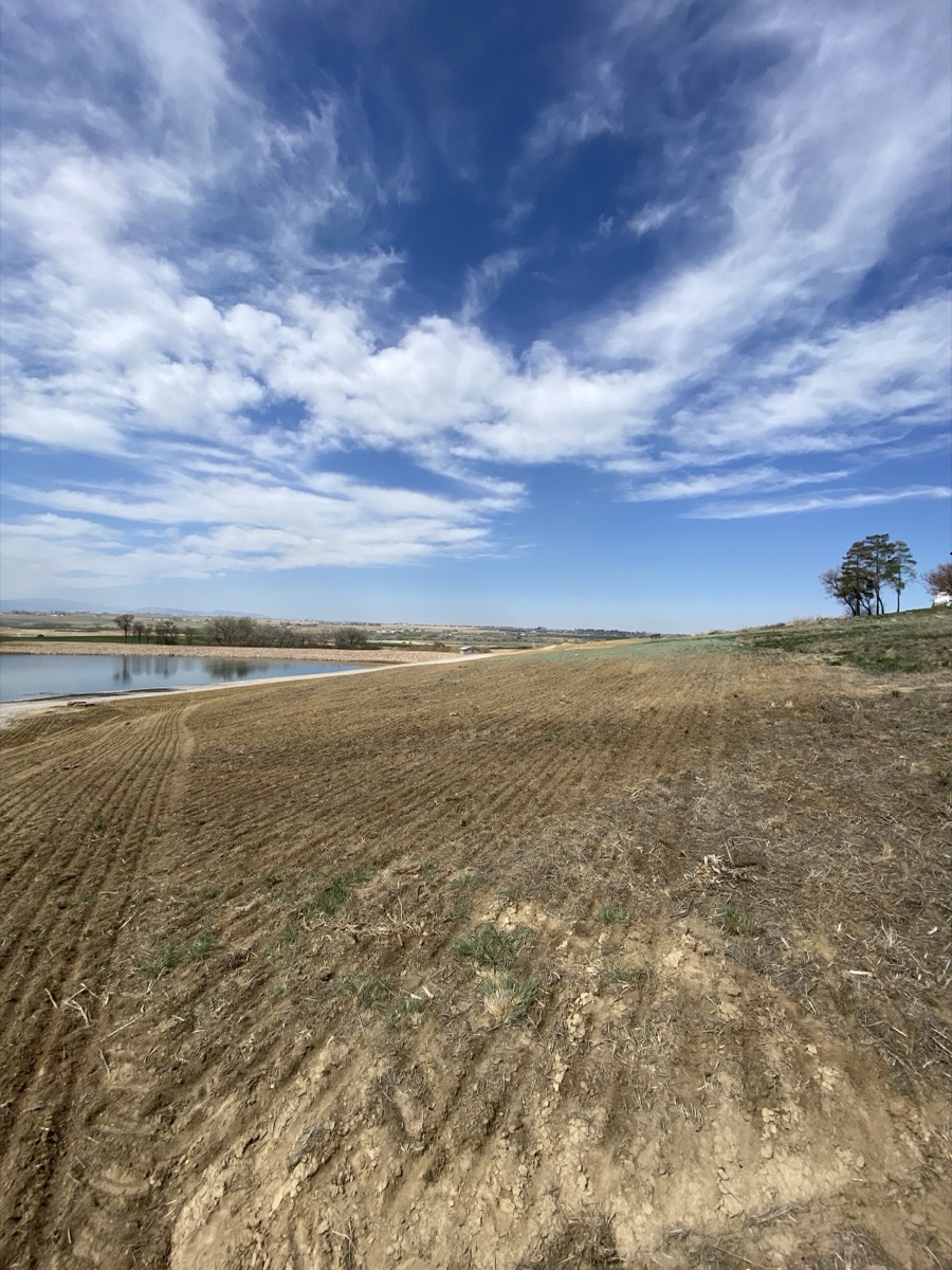 Johnstown Golf Course Revegetation photo 6